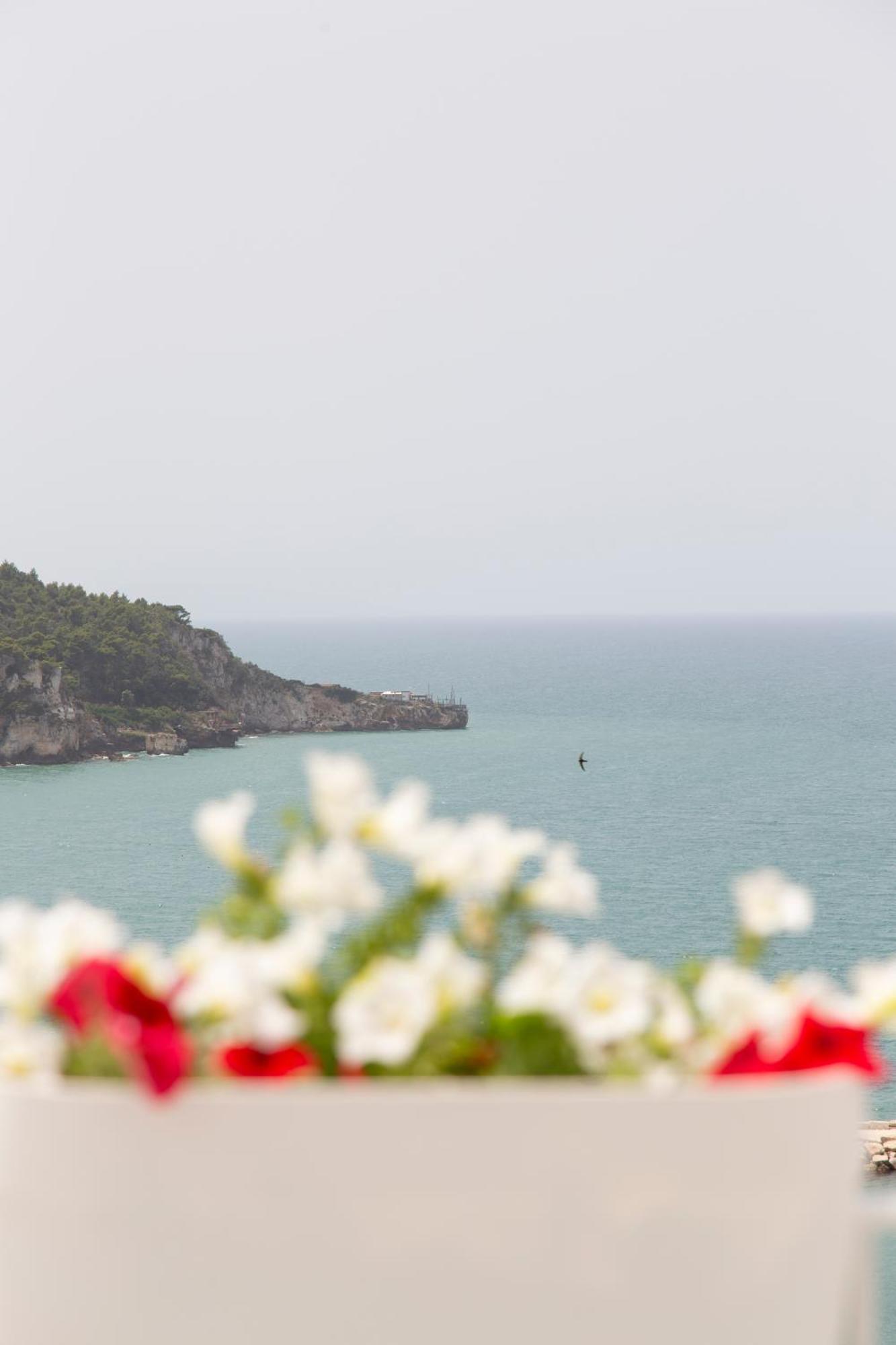 Fico D'India Apartment เปสคีชี ภายนอก รูปภาพ